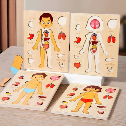 Kids Montessori Body Parts Puzzle Board