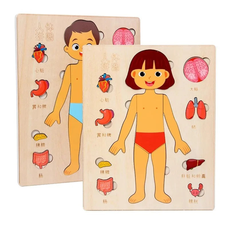Kids Montessori Body Parts Puzzle Board