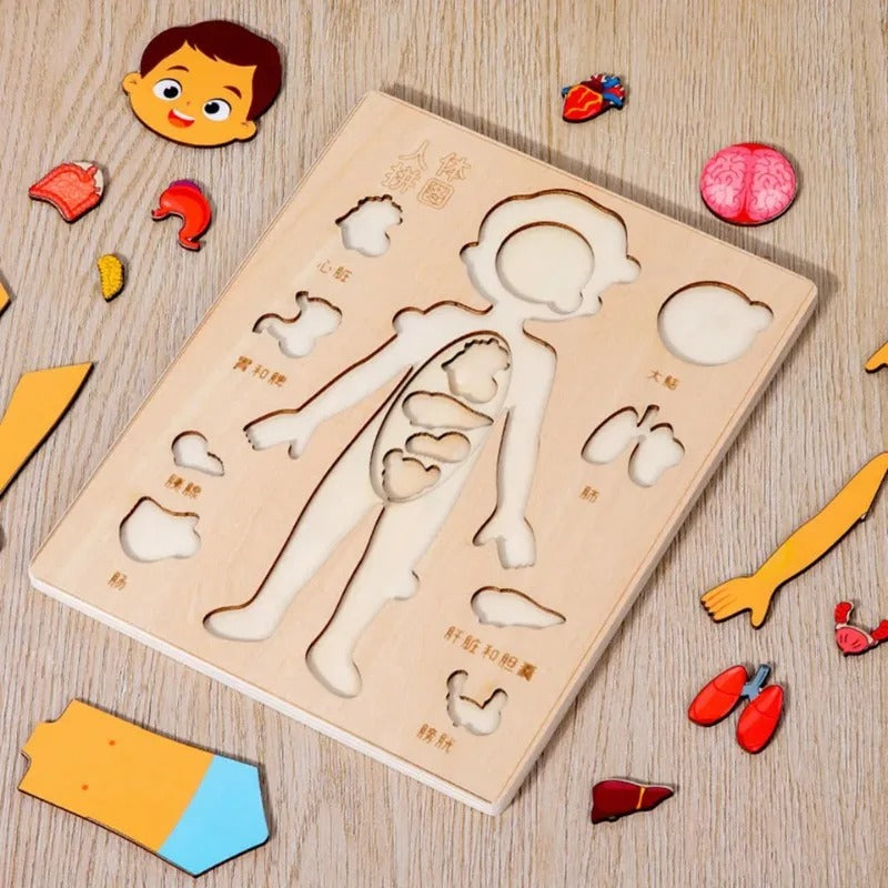 Kids Montessori Body Parts Puzzle Board