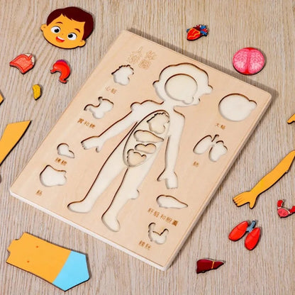 Kids Montessori Body Parts Puzzle Board