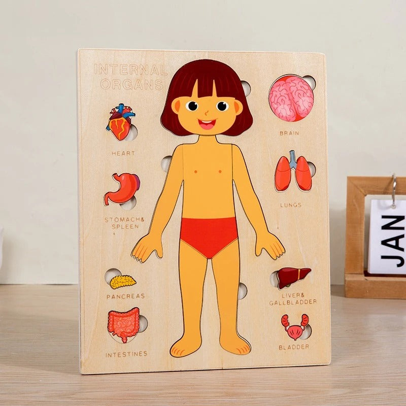Kids Montessori Body Parts Puzzle Board