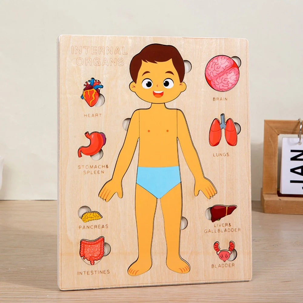 Kids Montessori Body Parts Puzzle Board