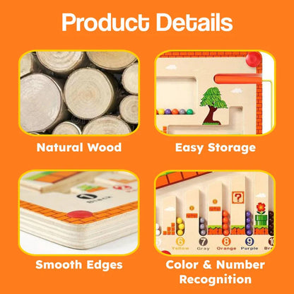 Montessori Mastery Magnetic Maze