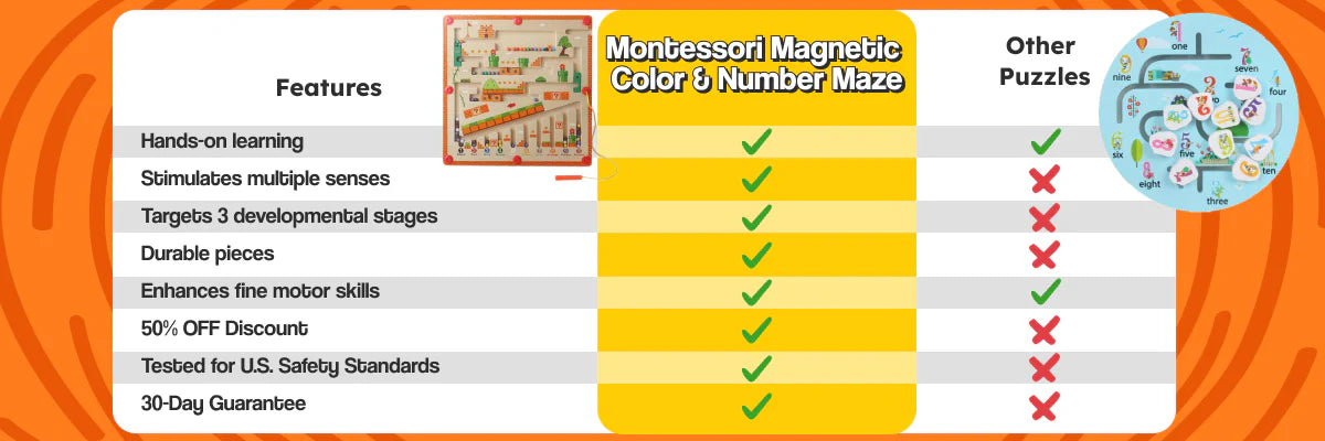 Montessori Mastery Magnetic Maze