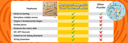 Montessori Mastery Magnetic Maze